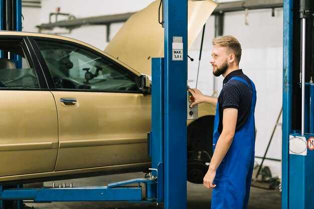 Особенности конструкции двери передней на Renault Duster