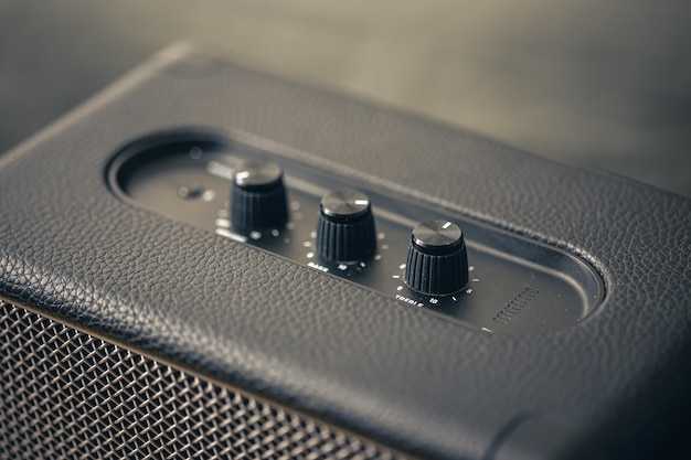 Практическая установка колонок в Ларгус: шаги и советы